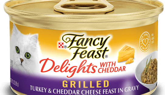Fancy Feast Delights With Cheddar Grilled Turkey & Cheddar Cheese In Gravy